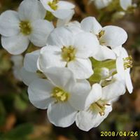 Lisa Nava Photo 15