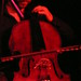 William Kraus Photo 13