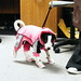 Vickie Russell Photo 31