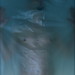 Tom Gasper Photo 12