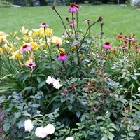 Beth Bennett Photo 27
