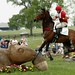 Stephen Bradley Photo 23