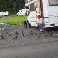Kay Webber Photo 9