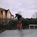 Adam Taylor Photo 26