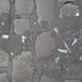 Gabriel Crespo Photo 13