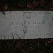 B Adams Photo 36