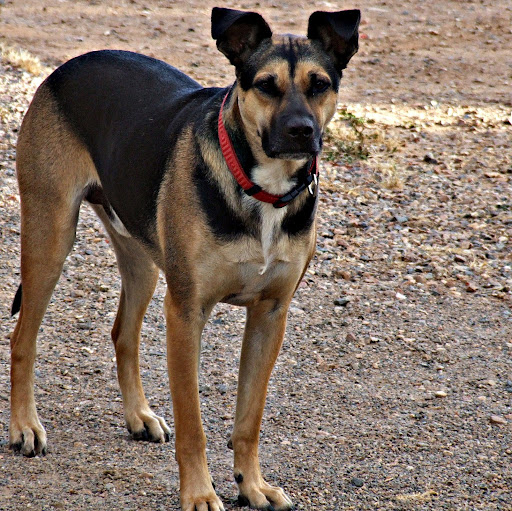Neil Willis Photo 8
