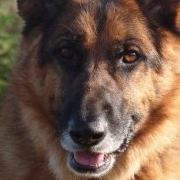 Debra Mcelroy Photo 20