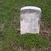 William Horner Photo 40