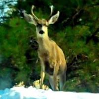 Christopher Breedlove Photo 30