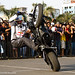 Chris Bull Photo 32