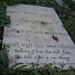 Shelly Marker Photo 11