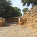 Dan Gates Photo 21