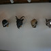 Allyson Wolf Photo 11