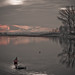Dawn Cason Photo 6
