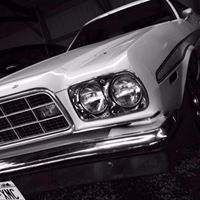 Brandon Will Photo 25