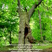 Dianne Adams Photo 38