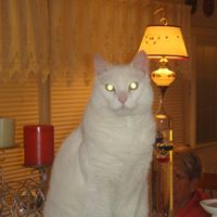Doris Petersen Photo 33