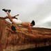 Cliff Powell Photo 46