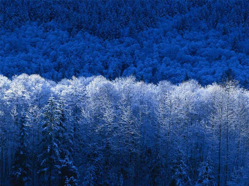 John Hillis Photo 40