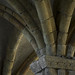 Timothy Tryon Photo 16