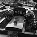Thomas Reinhardt Photo 32