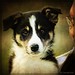 Cindy Briggs Photo 18
