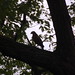Ernest Hawk Photo 5