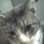 Janet Shepherd Photo 42