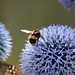 Steven Gibbs Photo 33