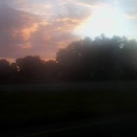Terri Holtz Photo 1