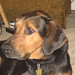 Mona Foster Photo 23