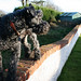 Kerry Whitehead Photo 14