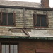 David Slate Photo 15