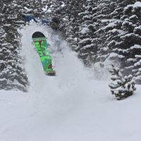 Tyler Neil Photo 4