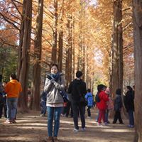 Shu Chang Photo 27