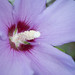 Sharon Hardy Photo 25