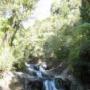 Wilma Howell Photo 11