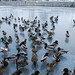 Stephen Cheney Photo 10