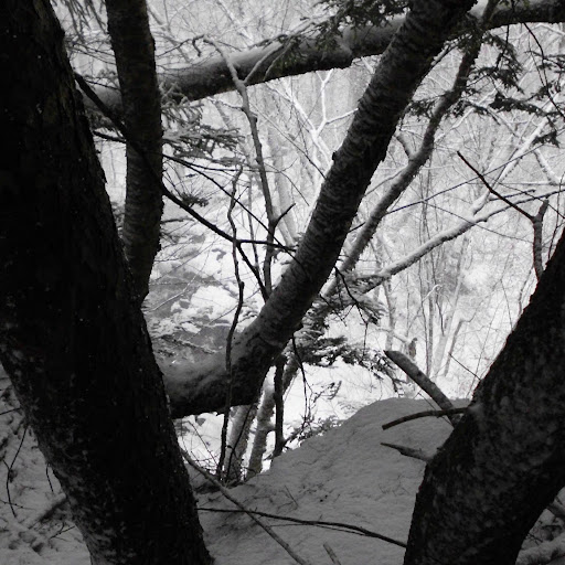 James Dunlap Photo 37