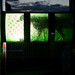 Tess Powers Photo 10
