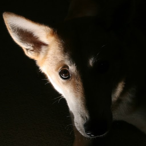 Sarah Freund Photo 39
