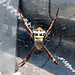 Andrew Cross Photo 36