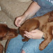 Heather Holly Photo 29