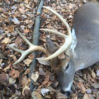 David Yoder Photo 24