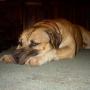 Diane Morton Photo 37