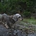 Maxie Stone Photo 5