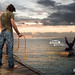 Vincent Mariani Photo 15