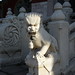 Ling Zhao Photo 12