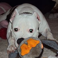 Renee Roehl Photo 3
